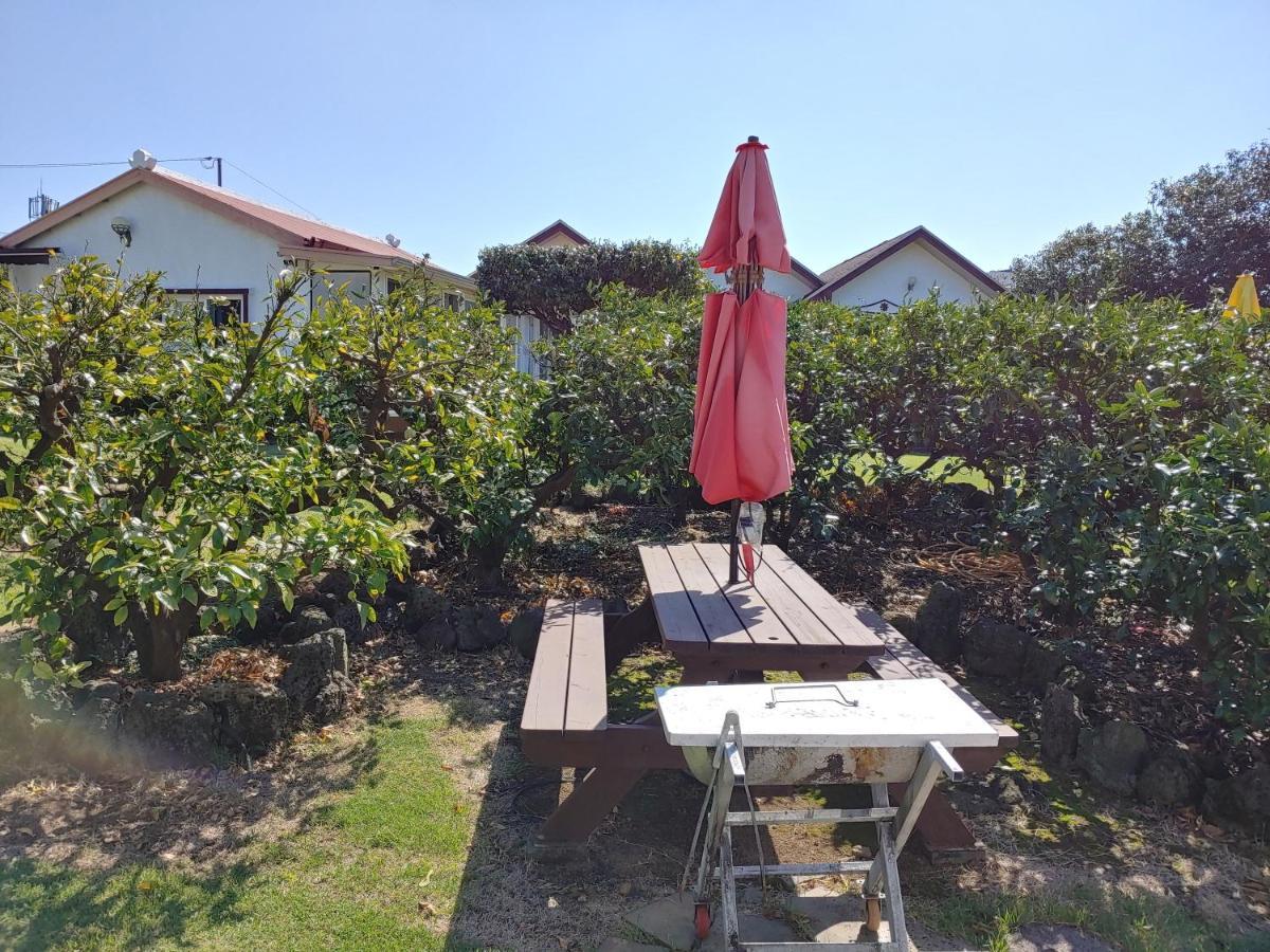Gyulhouse Pension Seogwipo Extérieur photo